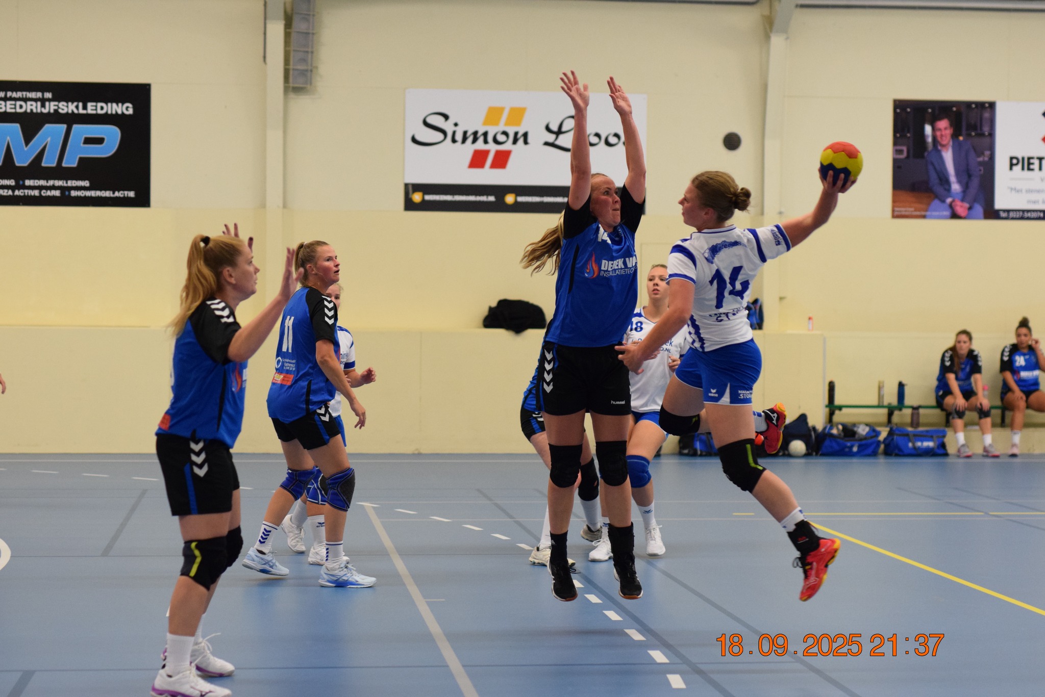 DS1 | Gestreden in Hippo!